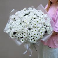 Букет из 25 белых ромашковых кустовых хризантем с доставкой в Челябинске