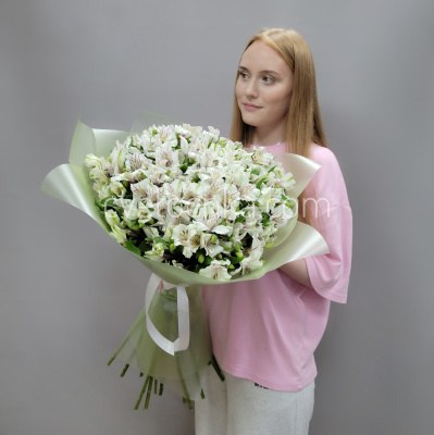 Букет из 35 альстромерий. Цвет на выбор