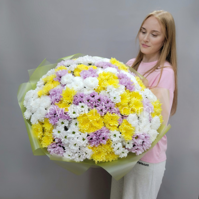 Букет из 51 кустовой хризантемы микс