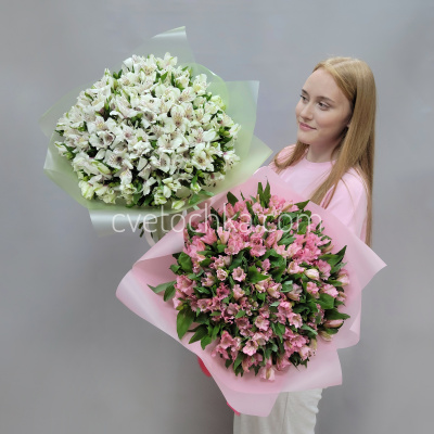 Букет из 35 альстромерий. Цвет на выбор