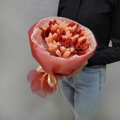 Букет сухоцветов с фалярисом №19. Цвет на выбор