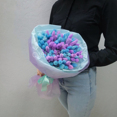 Букет сухоцветов с фалярисом №19. Цвет на выбор