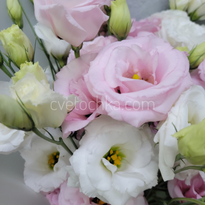 Акция! 15 эустом