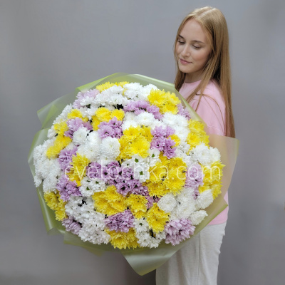 Букет из 51 кустовой хризантемы микс