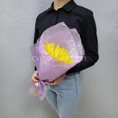 Букет сухоцветов с лагурусом №16. Цвет на выбор