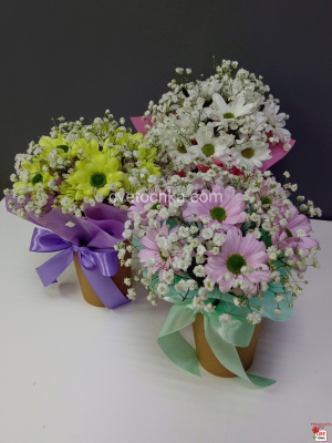 Стаканчик с хризантемой и гипсофилой с доставкой в Челябинске